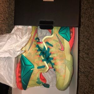 Lebronald Palmer 12’s (new)
